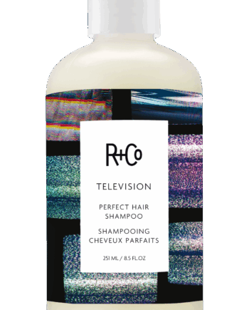 R+Co Television Perfect Hair Shampoo – Ultimativ Hårpleje