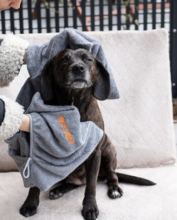 Siccaro Easydry Håndklæde til Hurtig Tørring af Hund